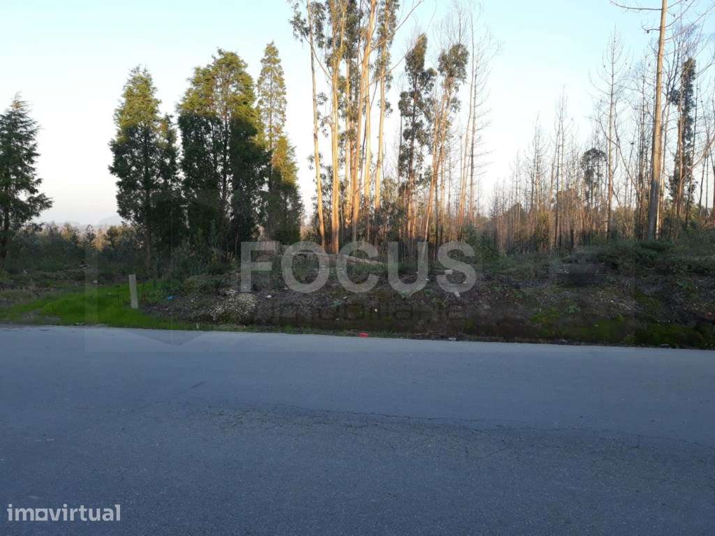 Terreno para loteamento Aveiro - Nariz - Grande imagem: 2/4