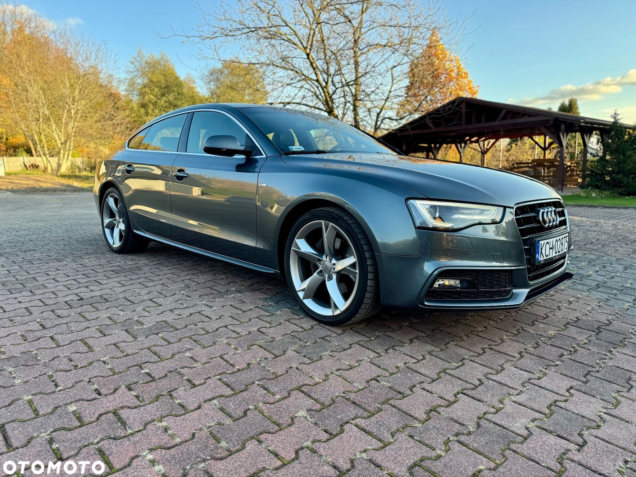 Audi A5 3.0 TDI Sportback DPF multitronic - 1