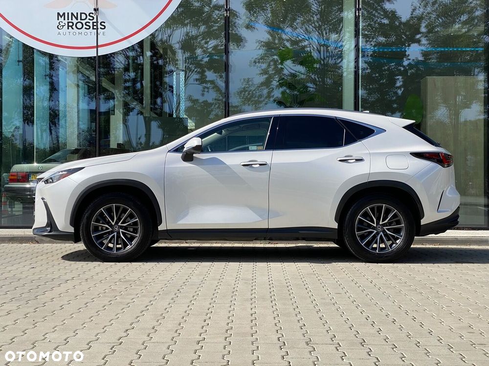 Lexus NX 350h Prestige 2WD - 3