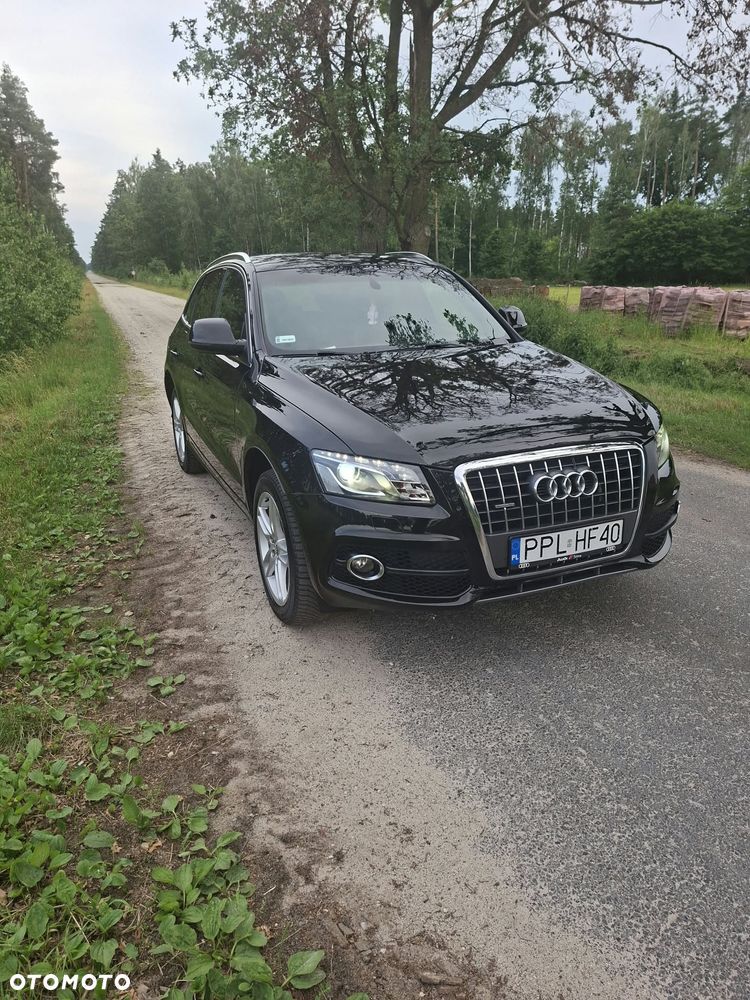 Audi Q5 2010 photo 4