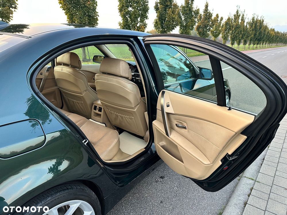 BMW Seria 5 - 31