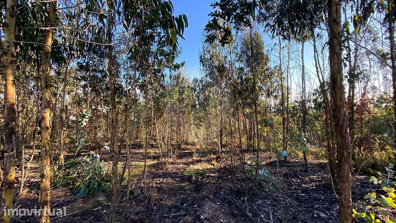 Terreno  para venda - Grande imagem: 3/12