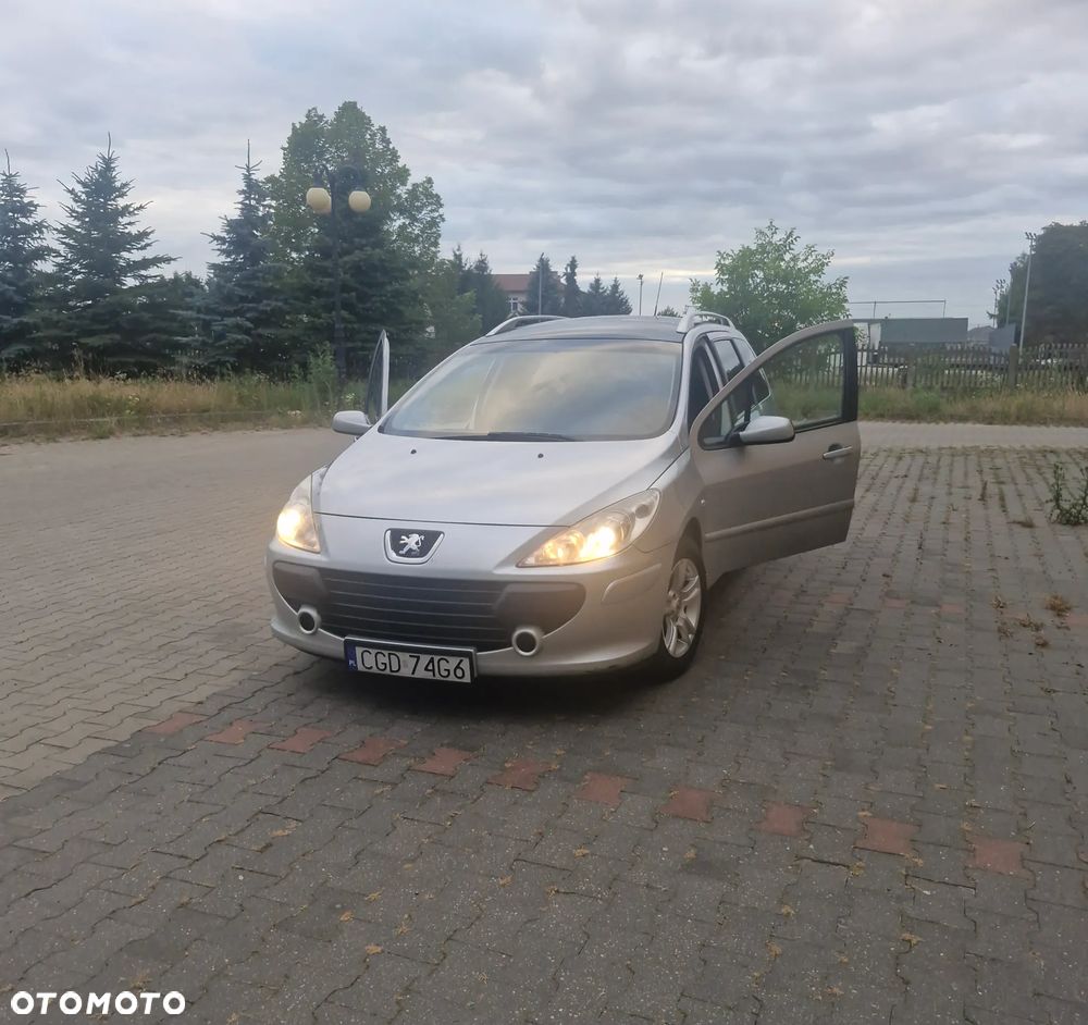 Peugeot 307 - 14