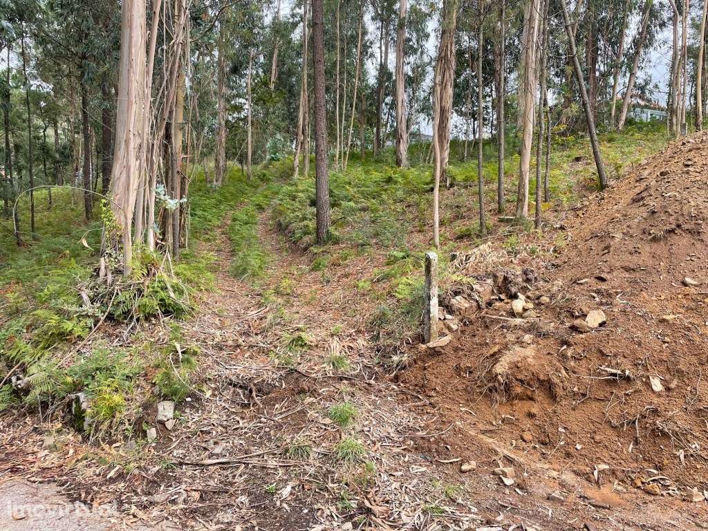 Terreno para construção em Anais - Grande imagem: 5/5