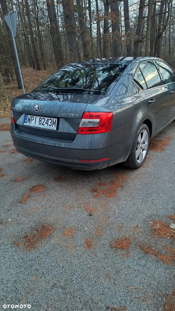 Skoda Octavia - 5