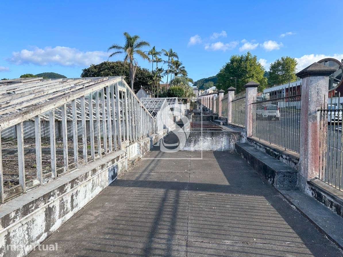 Quinta da Magnólia - Ponta Delgada - Grande imagem: 5/18