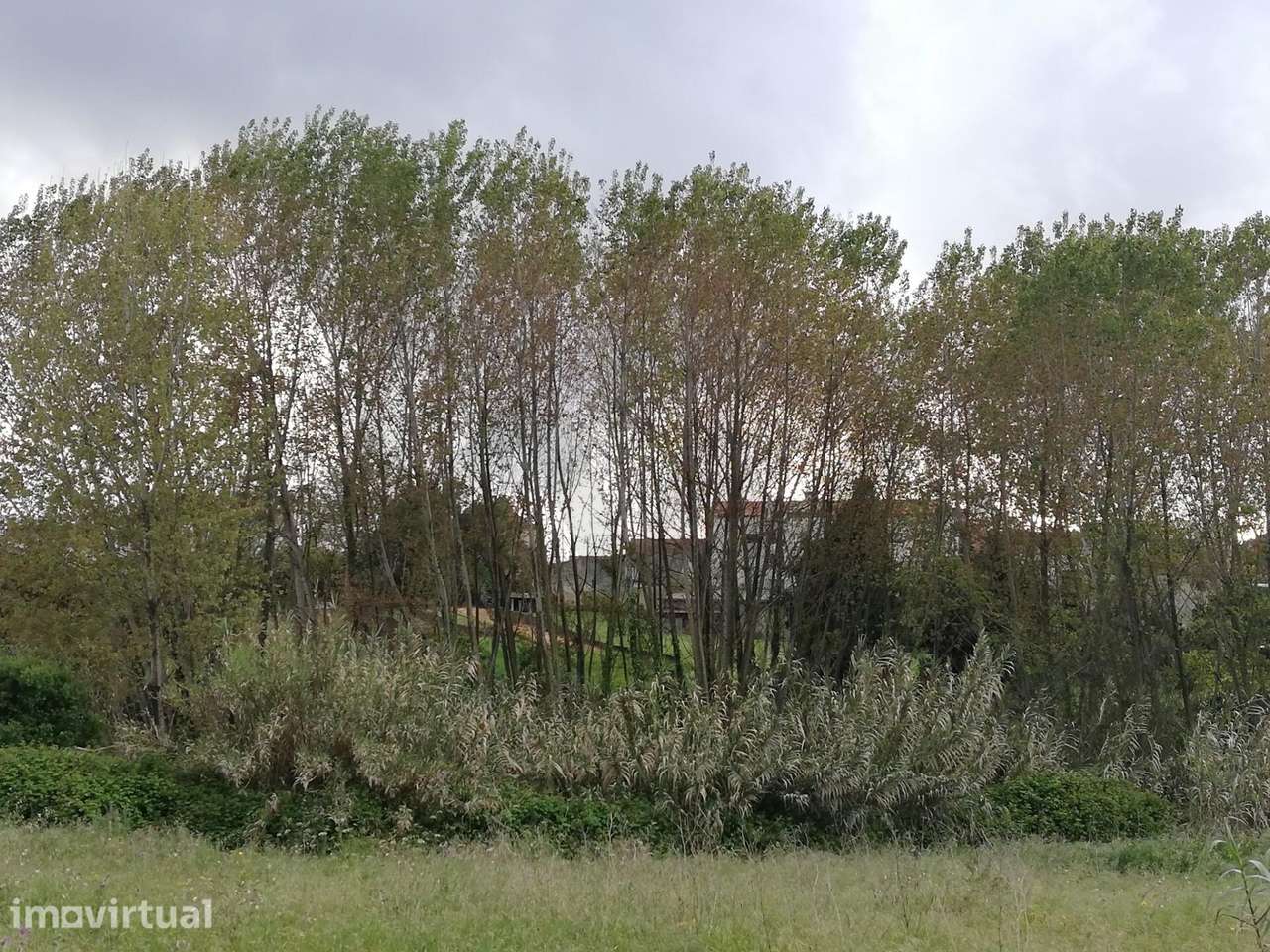 Quinta do Formigal: 2 Hectares com Potencial Turístico e Agrícola em S - Grande imagem: 3/13