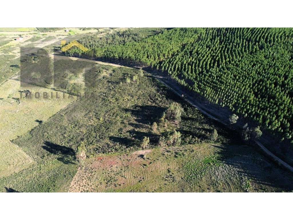 Terreno Rústico com 17.480 m² para venda em Juncal do Campo! - Grande imagem: 3/10