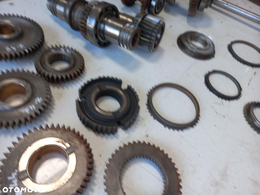 Koło zębate,wałek,tryb,choinka,Z25 Z41 Z37 81873139,Z38 Z37 Z33 81866524,Z46 Z38 81871991,Z23 Z29 Z44 81872802 New Holland Ford - 11