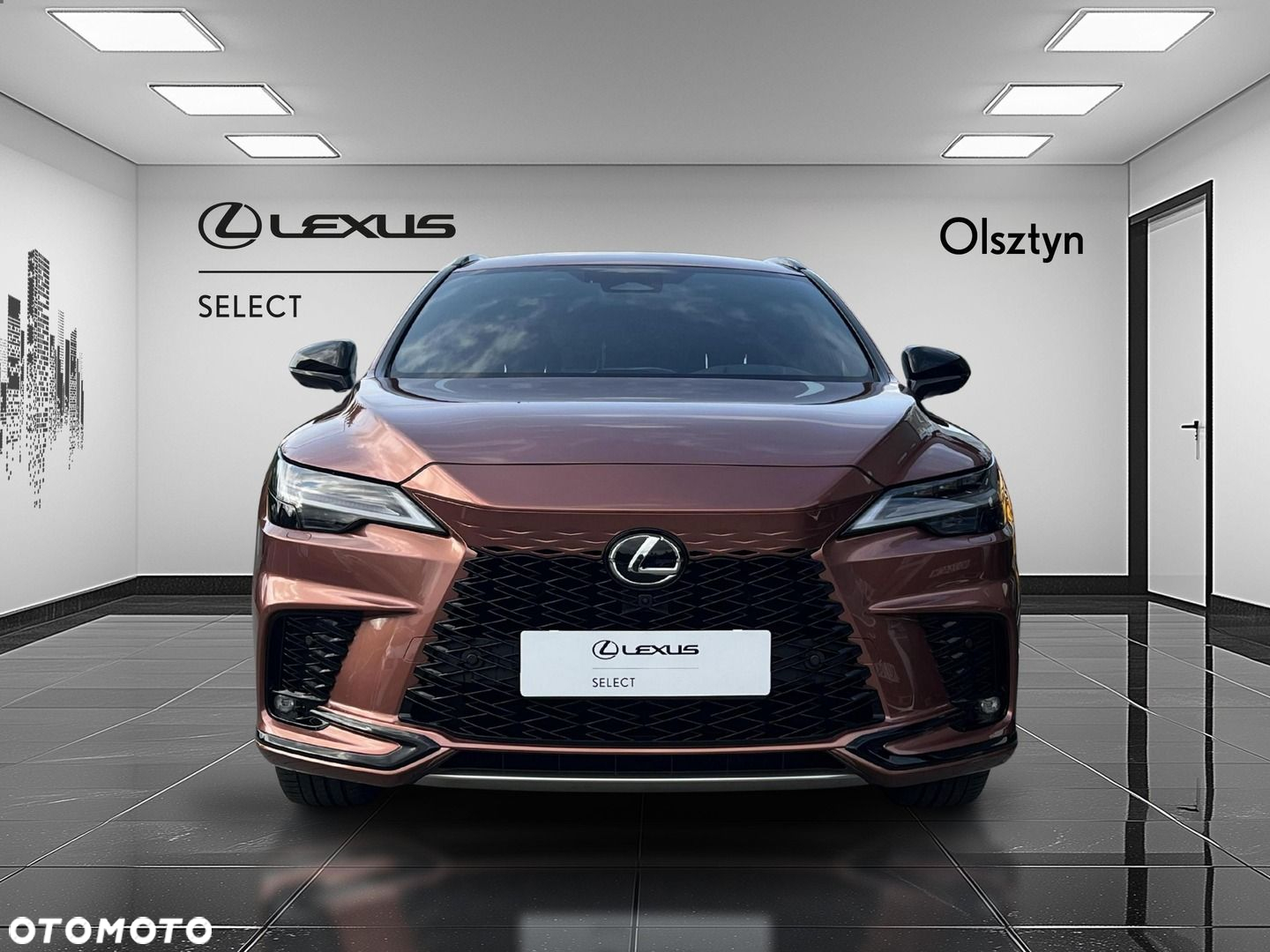 Lexus RX - 9