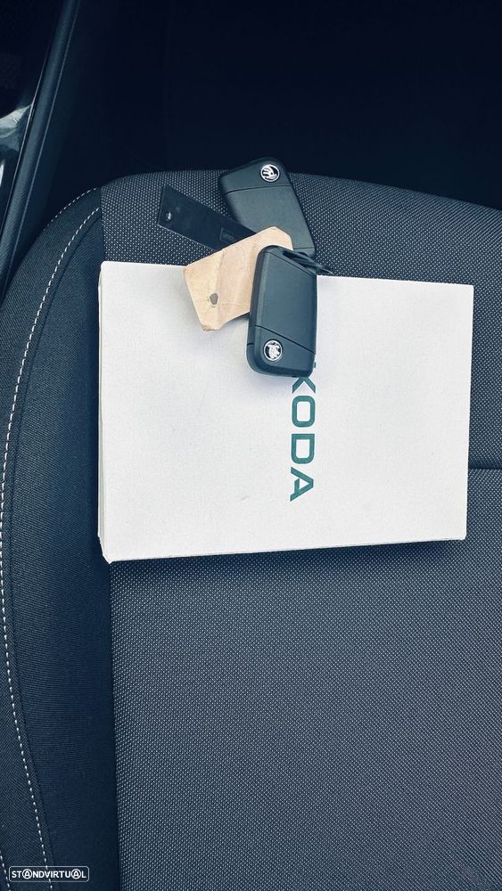 Skoda Fabia 1.0 TSI Selection DSG - 30