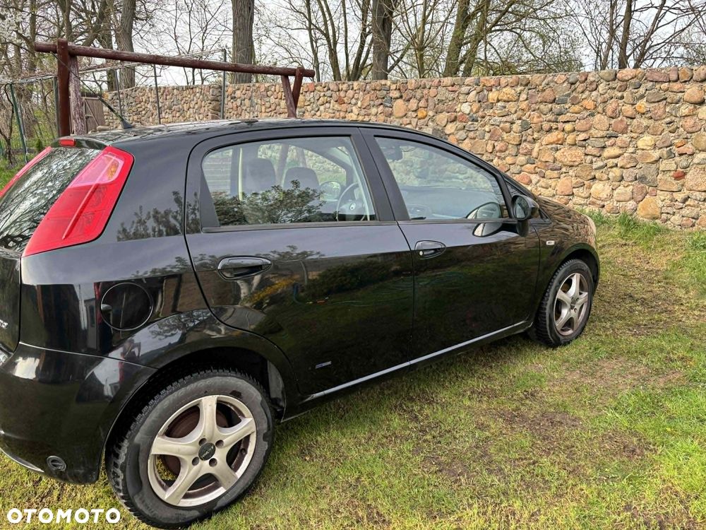 Fiat Punto - 13