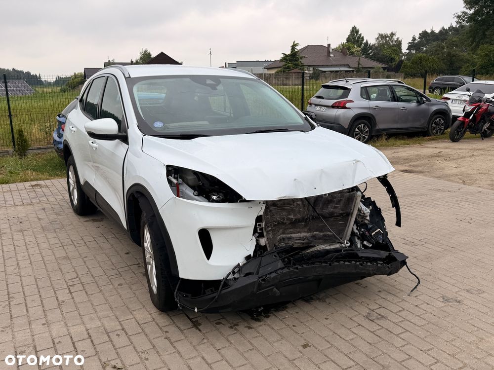 Ford Kuga 2.5 Duratec FHEV TITANIUM - 2