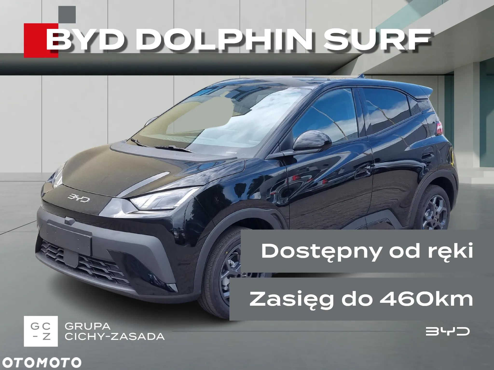 BYD Dolphin Surf - 1