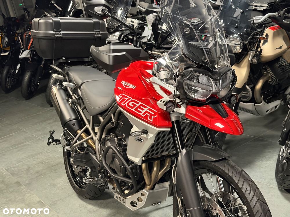 Triumph Tiger - 24