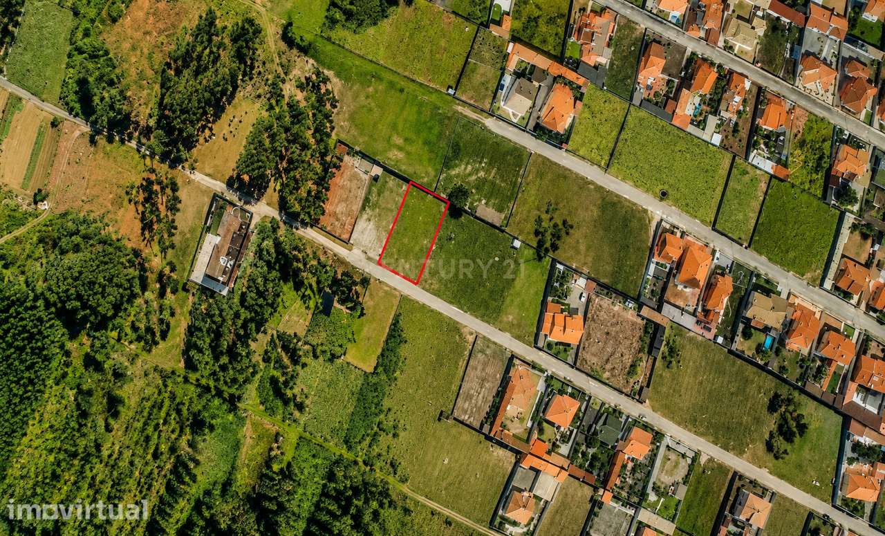 Terreno Rústico em Vieira de Leiria – 1.081 m² - Grande imagem: 2/5