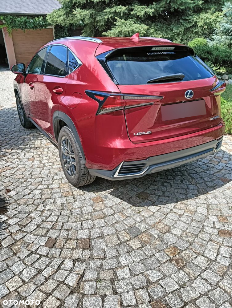Lexus NX ver-300h-business-edition-awd - 7