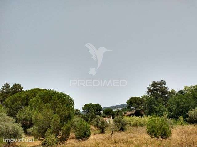 Terreno Rústico com 3750m2 em Montargil - Grande imagem: 4/10