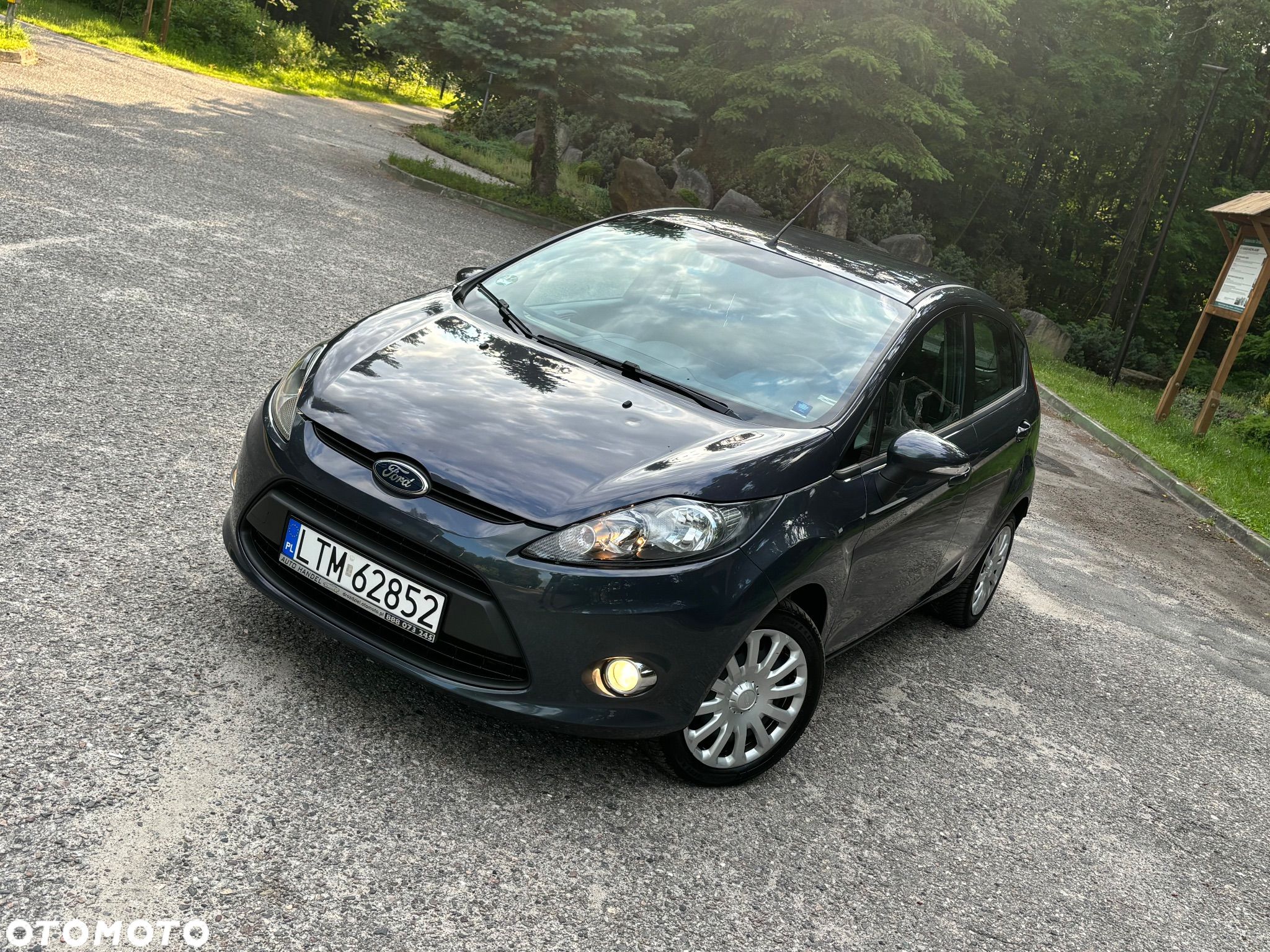 Ford Fiesta - 1