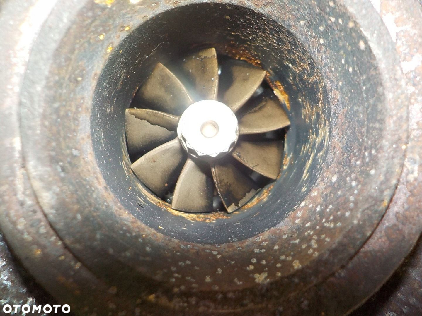 ALFA ROMEO FIAT 1.9 JTD TURBOSPRĘŻARKA TURBINA 55205177 - 8