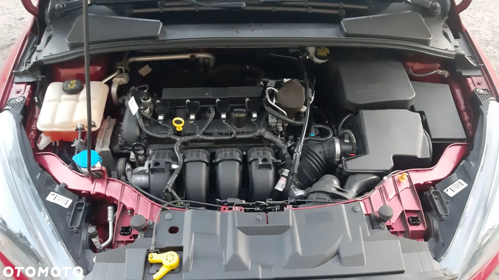 Ford Focus - 10
