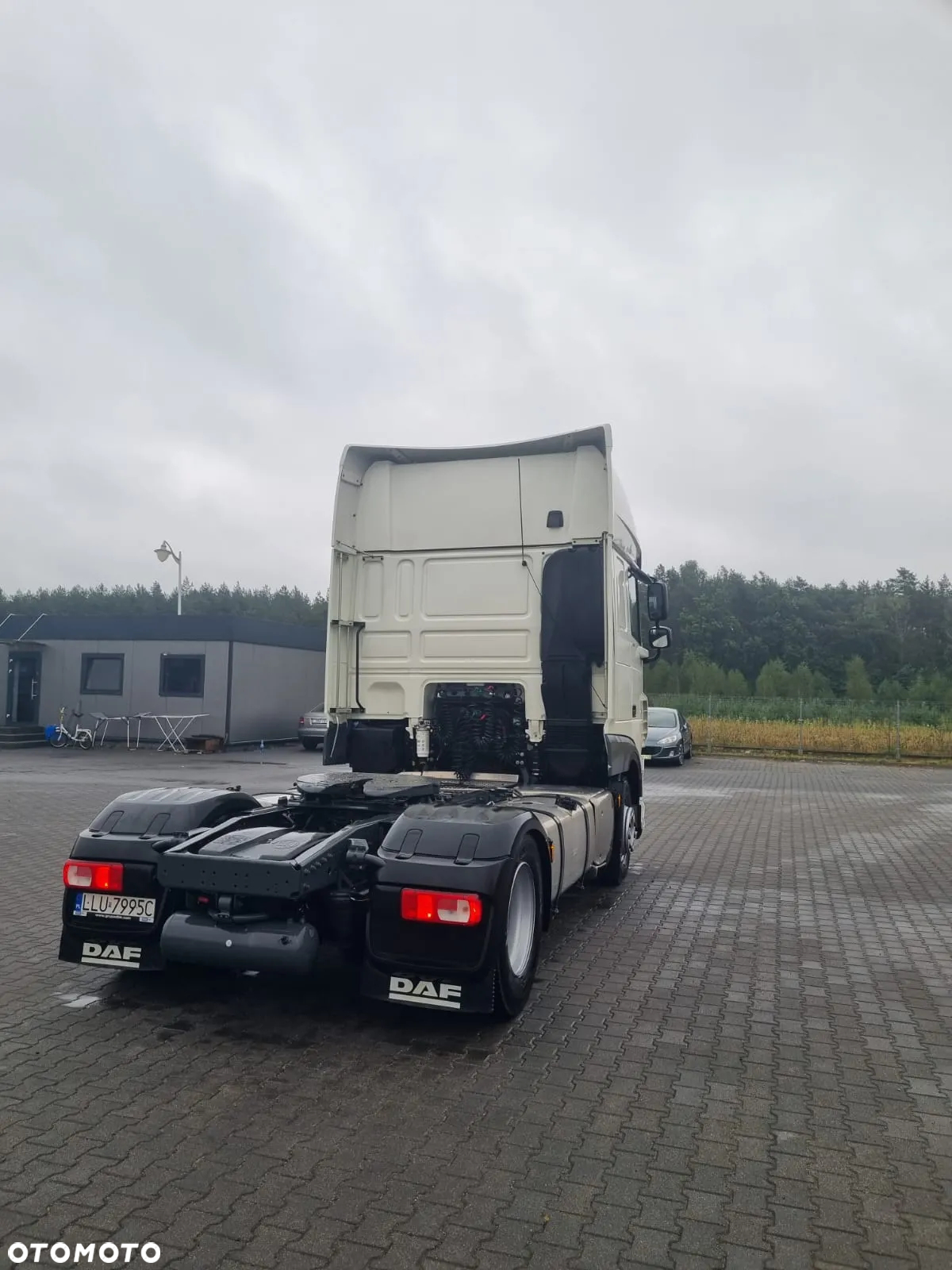 DAF - 6