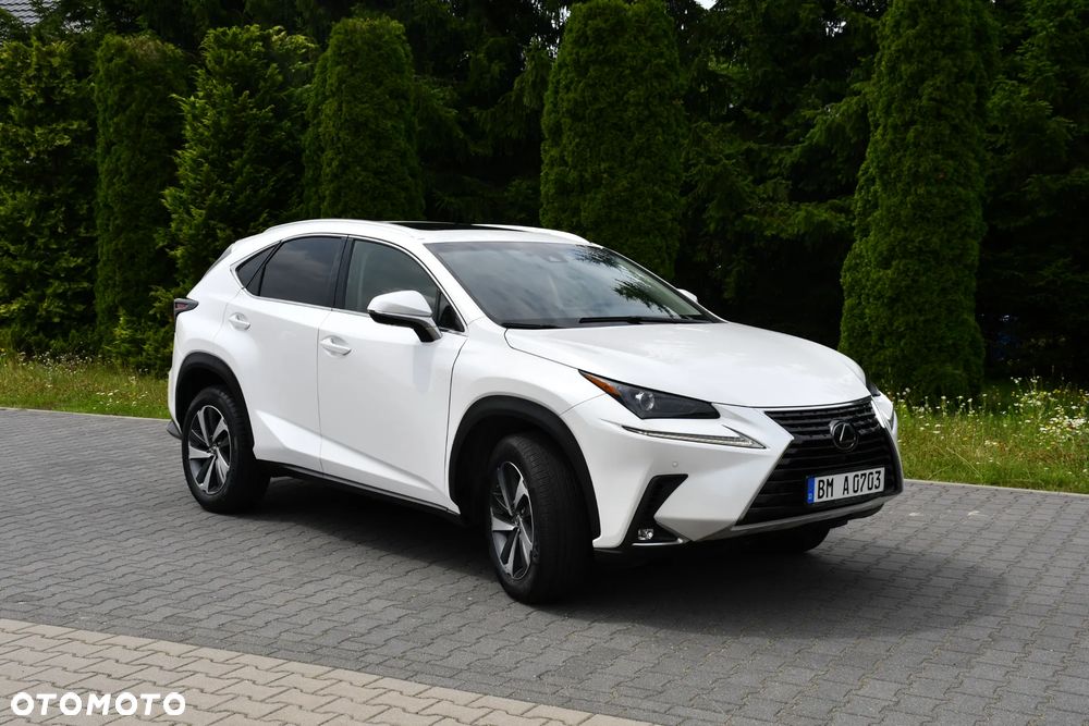 Lexus NX 300 Prestige AWD - 5