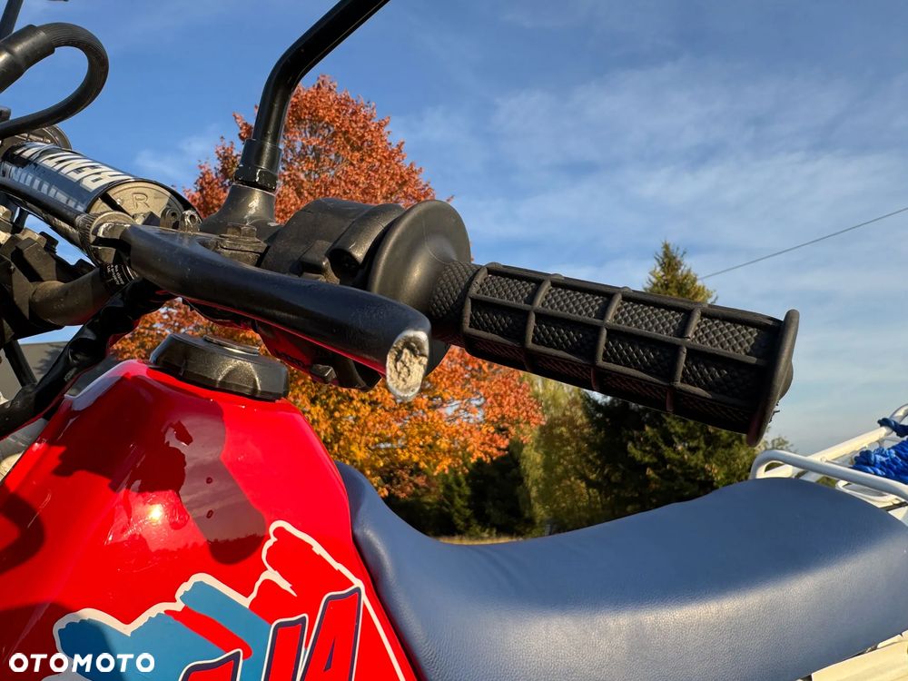 Honda XLR - 19