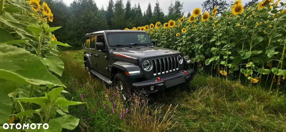 Jeep Wrangler 2.0 T-GDI Hardtop AWD Automatik Sahara - 2