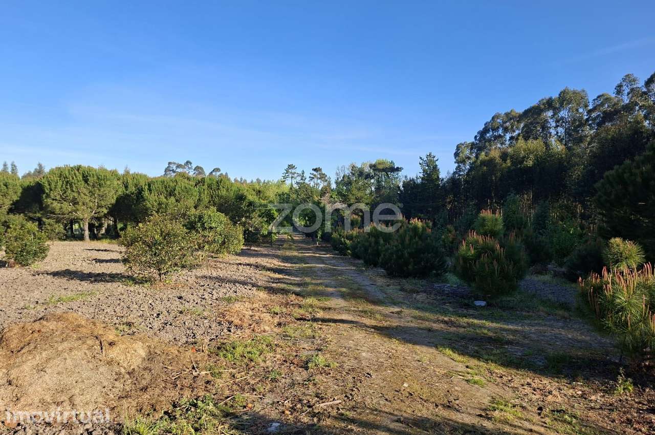 Terreno I 24 800m2 I Palhaça I Projeto moradia I 2 artigos - Grande imagem: 5/17