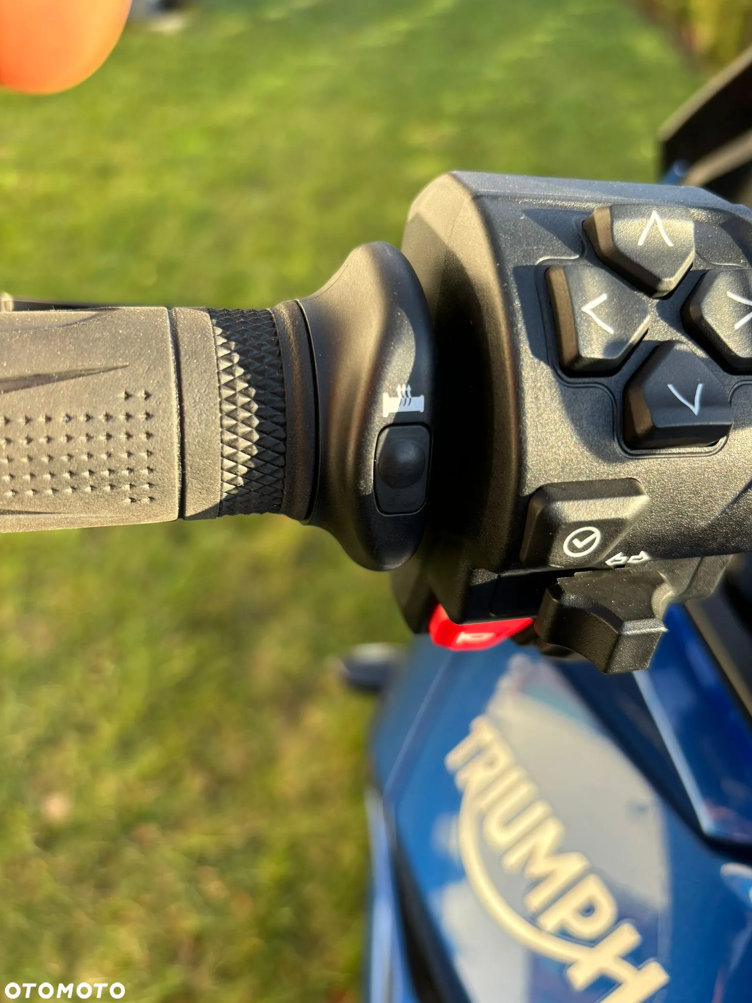 Triumph Tiger - 12