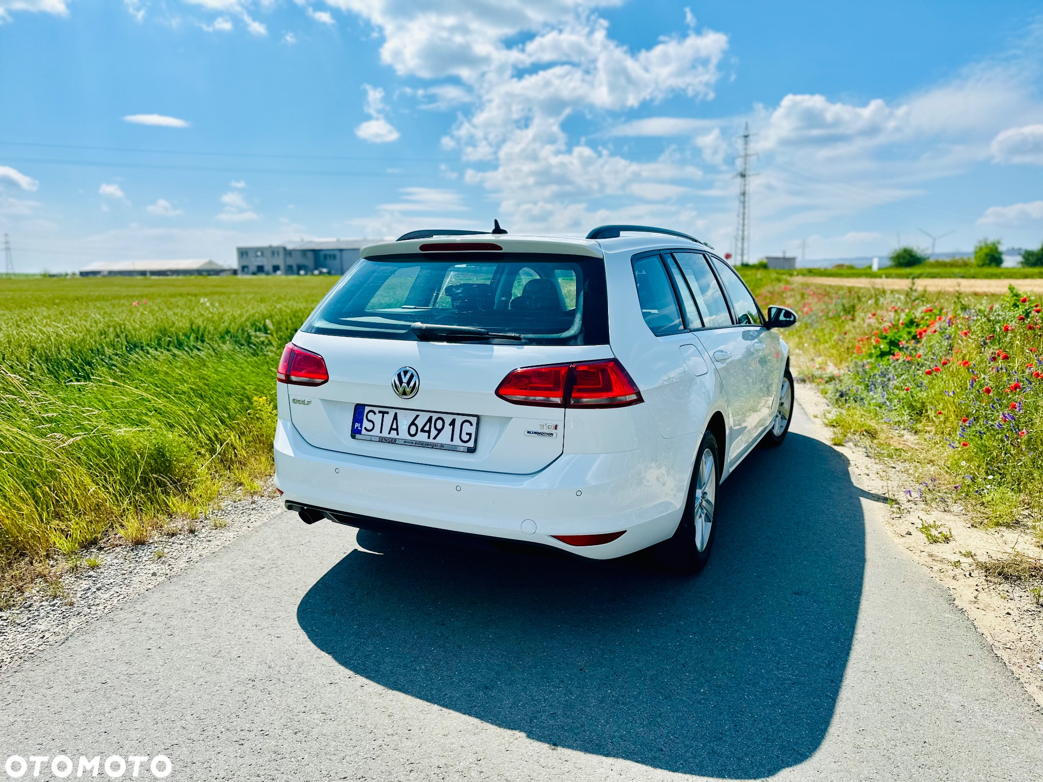 Volkswagen Golf 1.6 TDI BlueMotion Trendline - 6