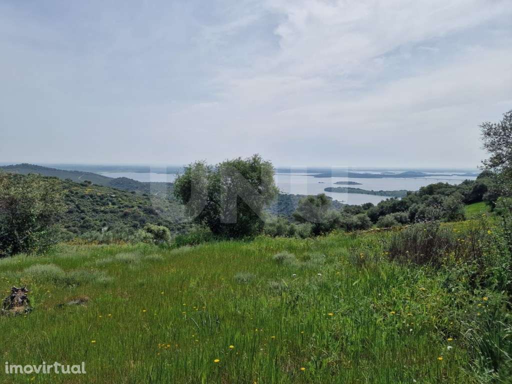 Terreno na Encosta do Castelo de Monsaraz - Grande imagem: 3/23