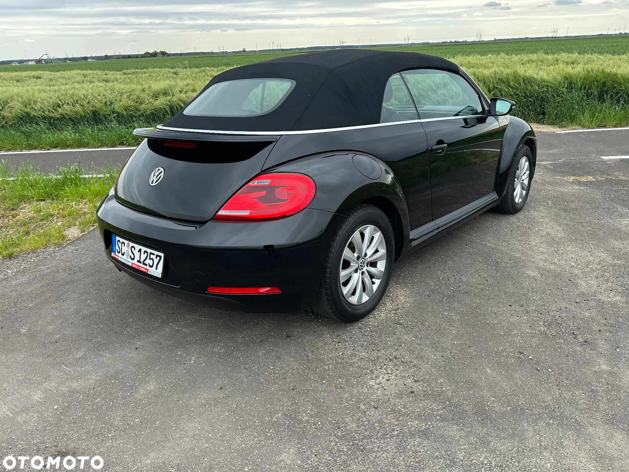 Volkswagen Beetle - 4
