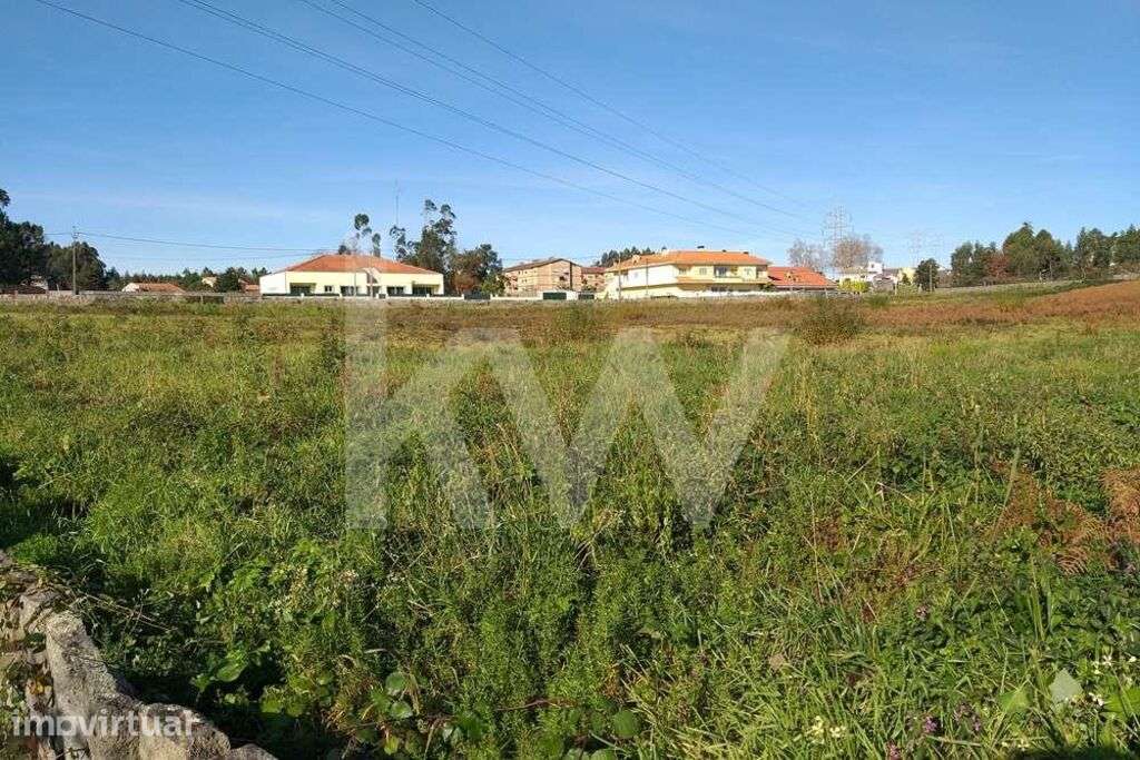 Terreno em pedroso para construção com casa velha . - Grande imagem: 5/23