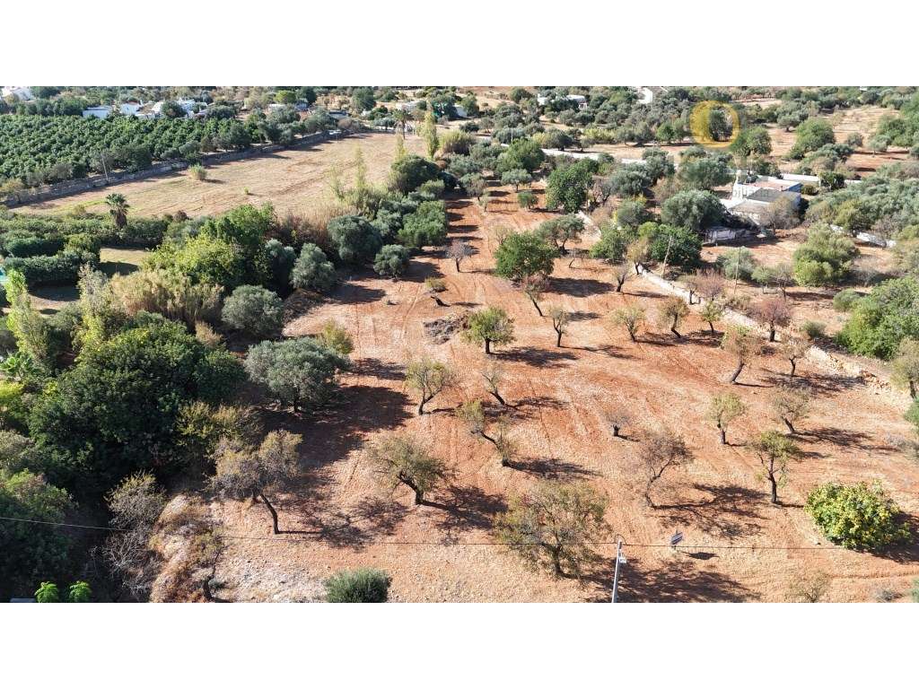 Terreno Urbano em Estoi - Uma Oportunidade Única de Investimento! c... - Grande imagem: 5/9