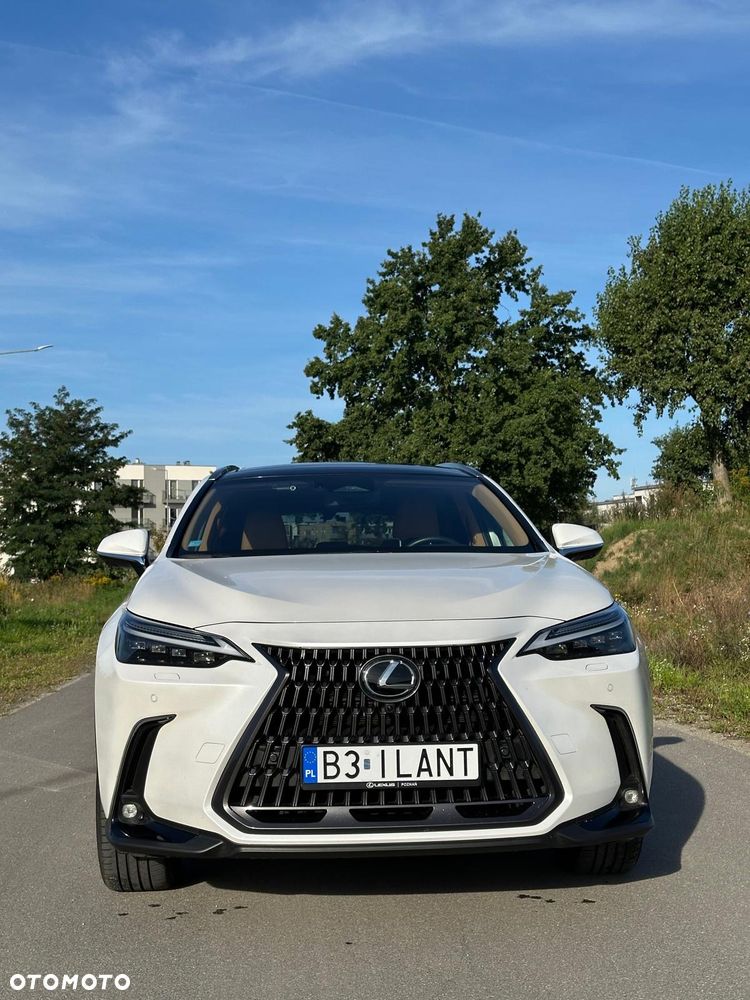 Lexus NX 350h Omotenashi AWD - 16