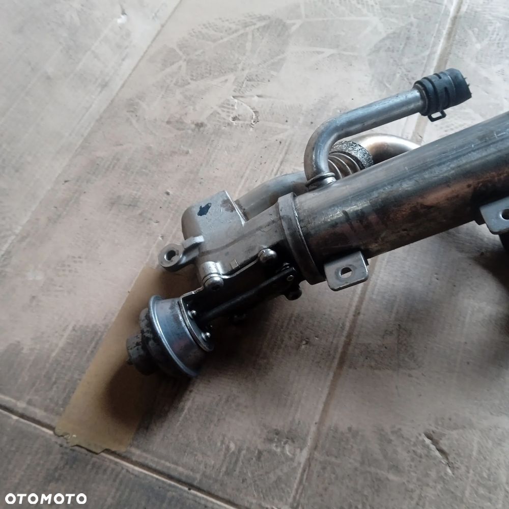 Chłodnicza EGR 03L131512AB - 2