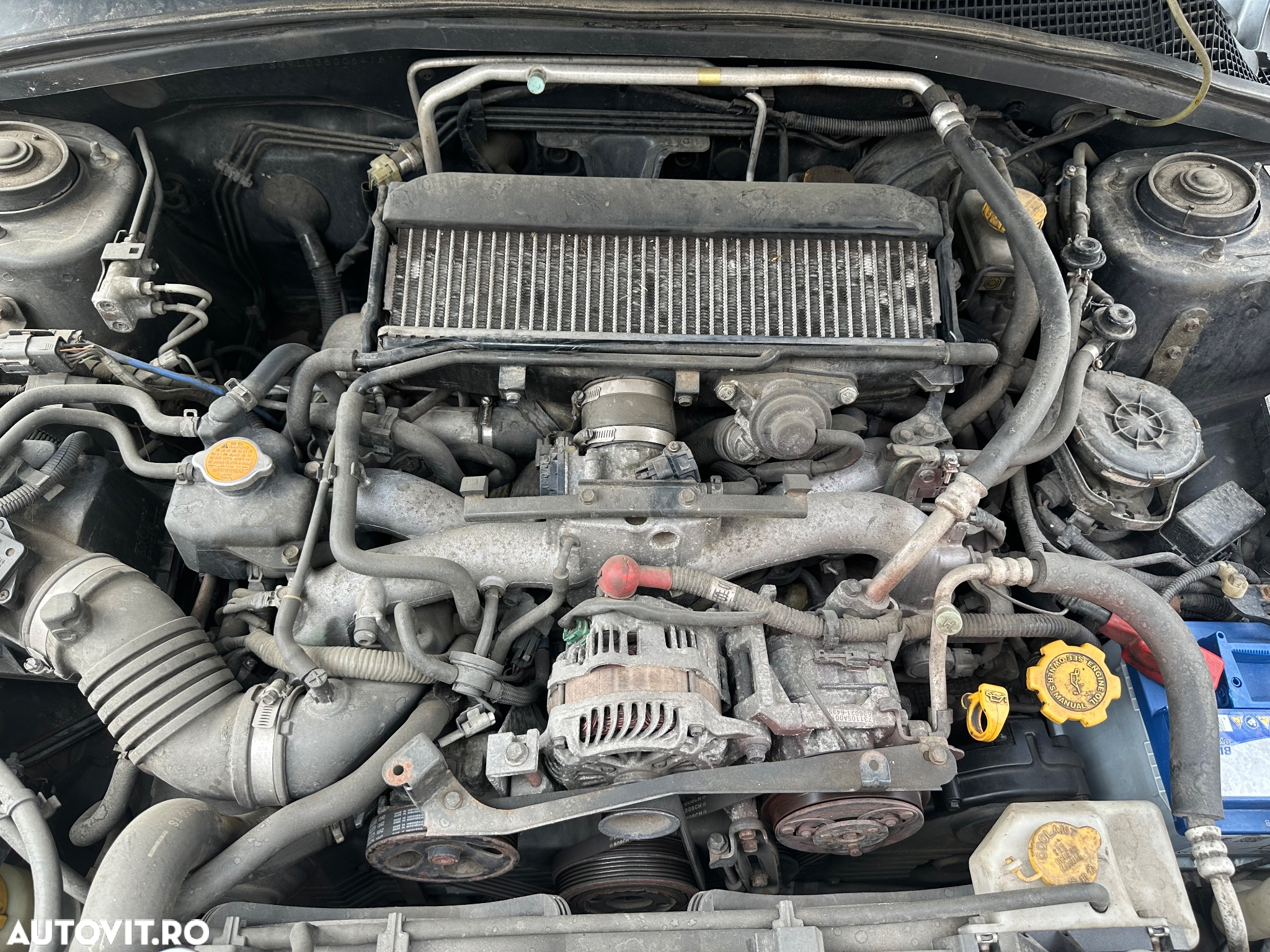 Subaru Forester - 26