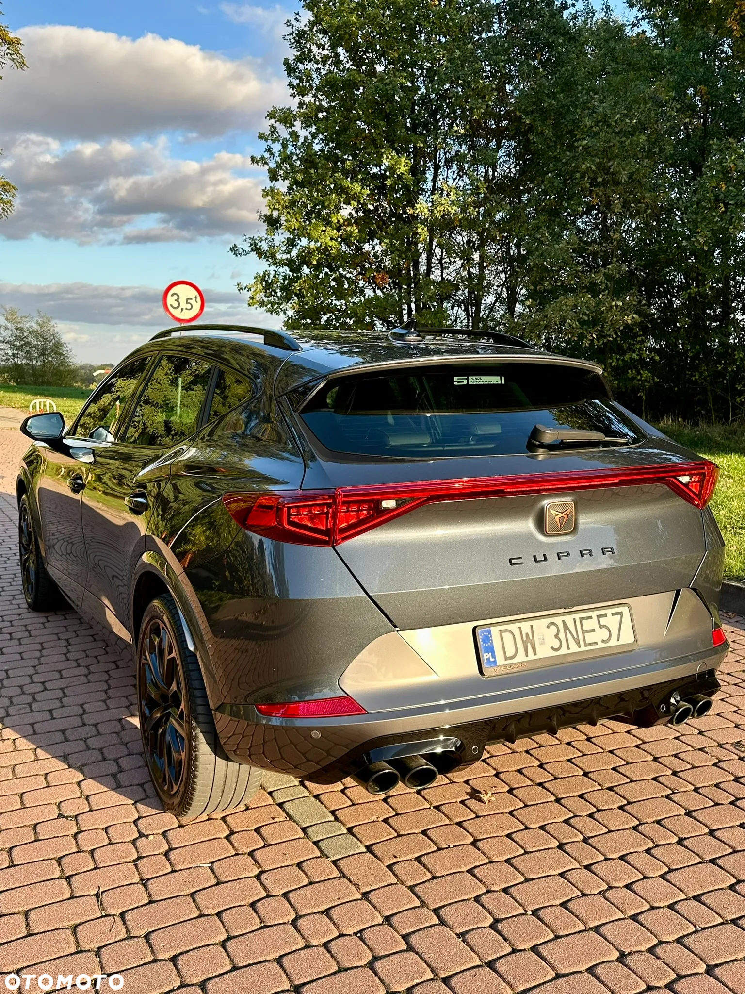 Cupra Formentor - 9
