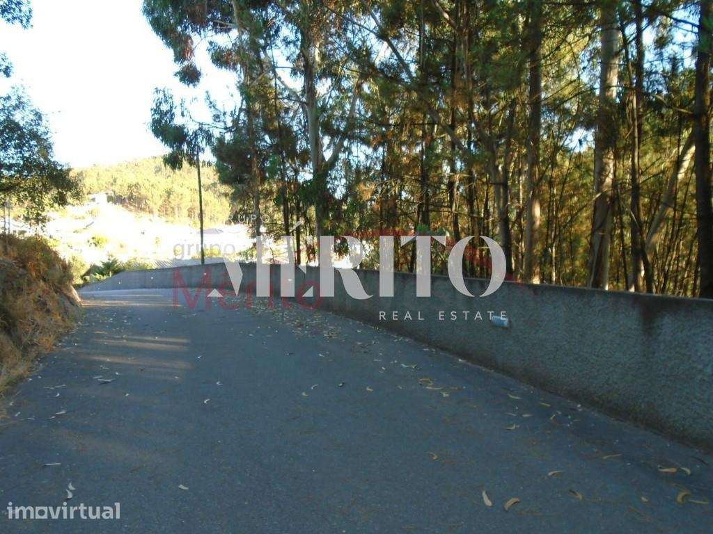 Venda Terreno - Grande imagem: 5/6