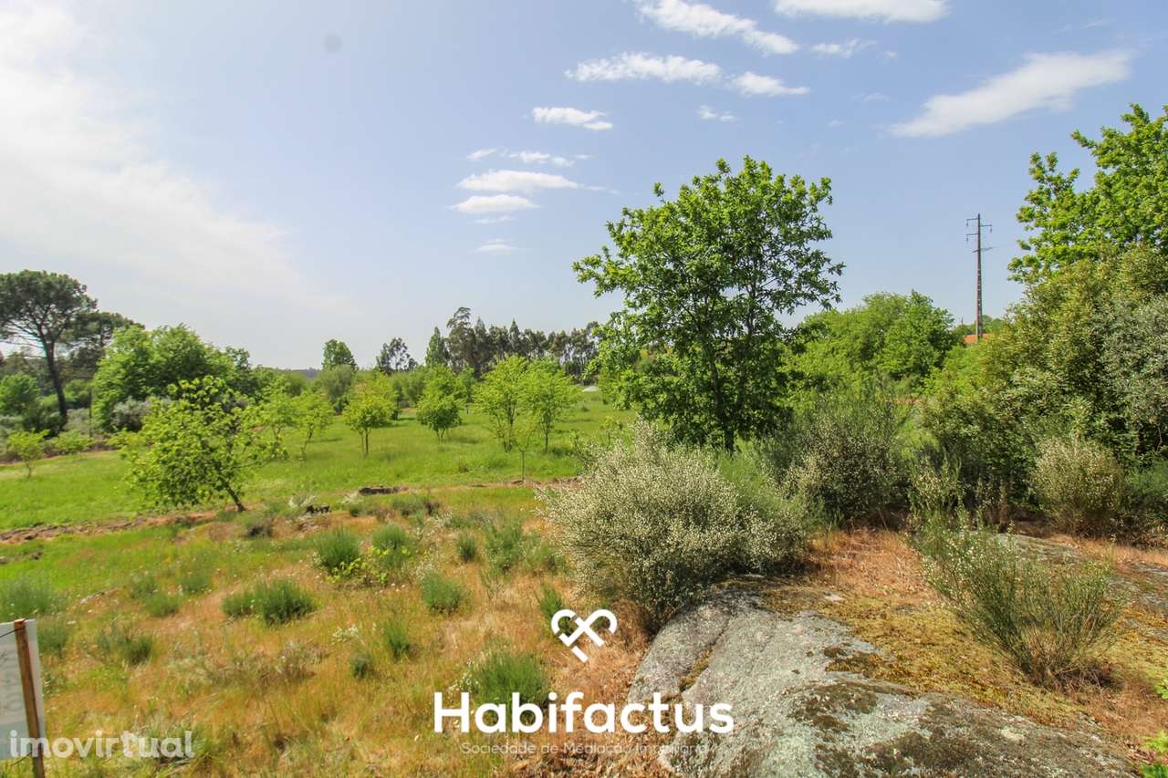 Terreno Agrícola com Vista Desafogada e Grande Potencial – 9.896 m² - Grande imagem: 4/30