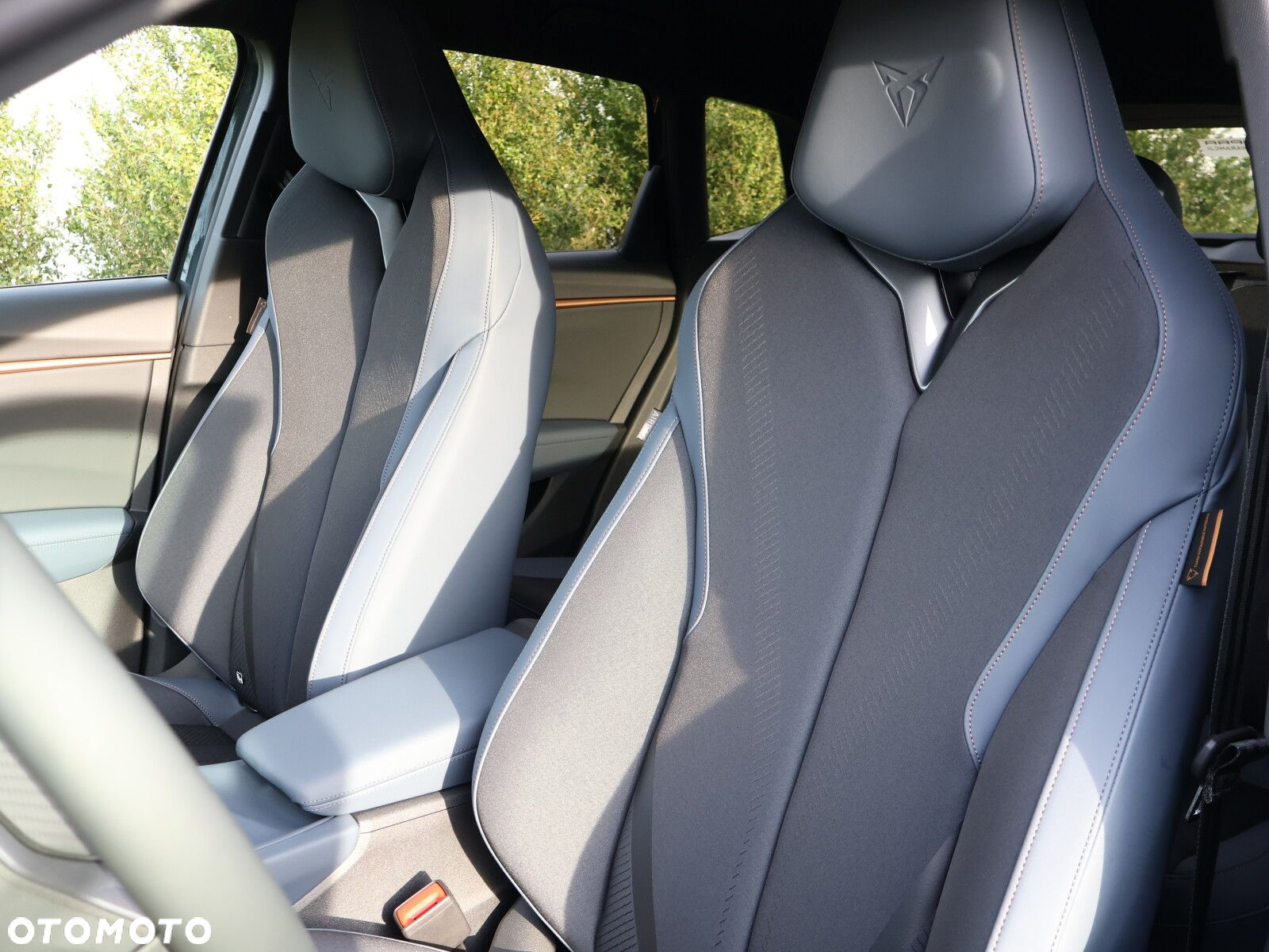 Cupra Terramar 1.5 eTSI mHEV DSG - 23