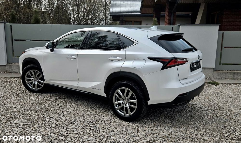 Lexus NX 300h Business Line - 5