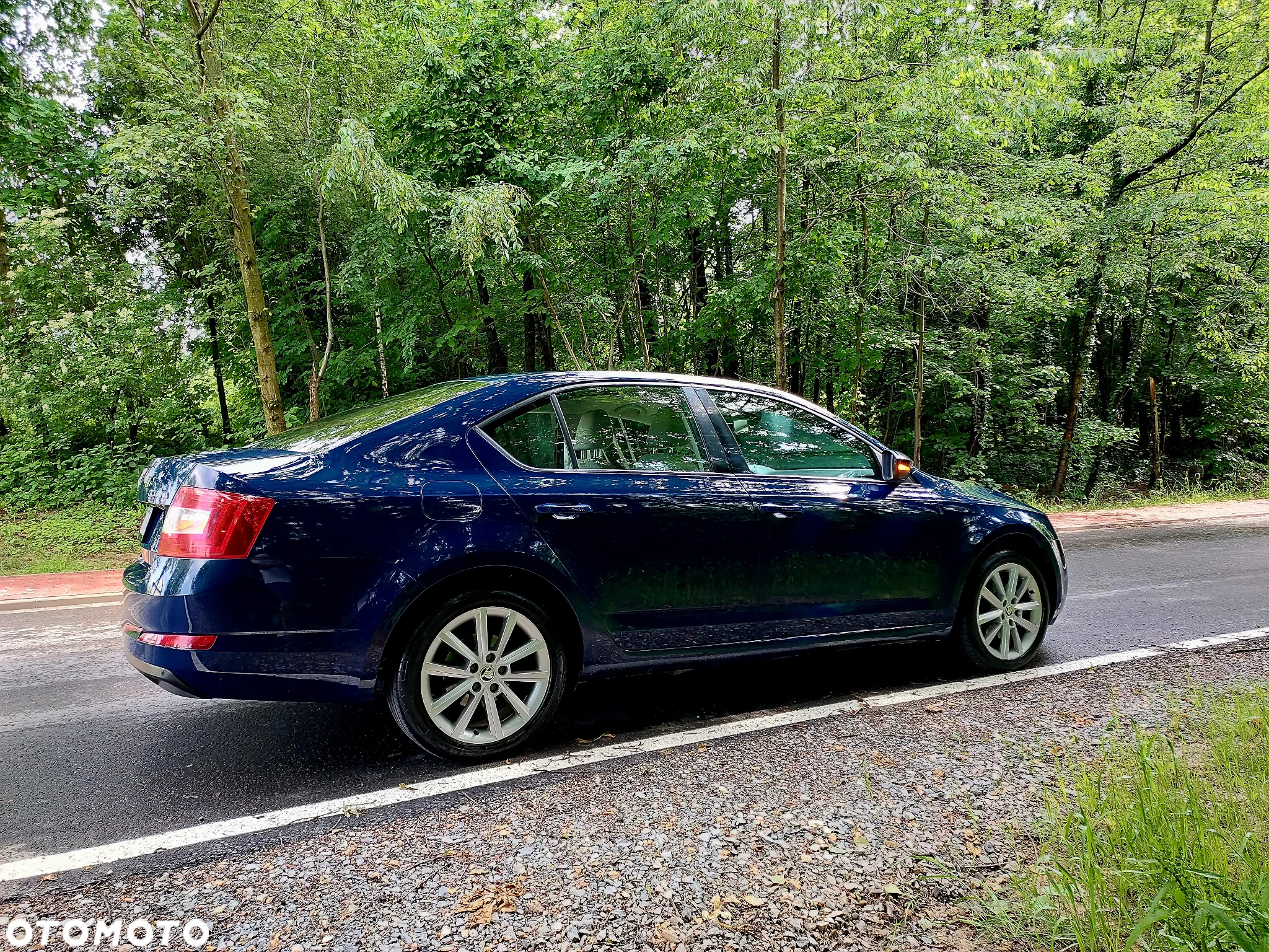 Skoda Octavia 2.0 TDI 4x4 Elegance - 9