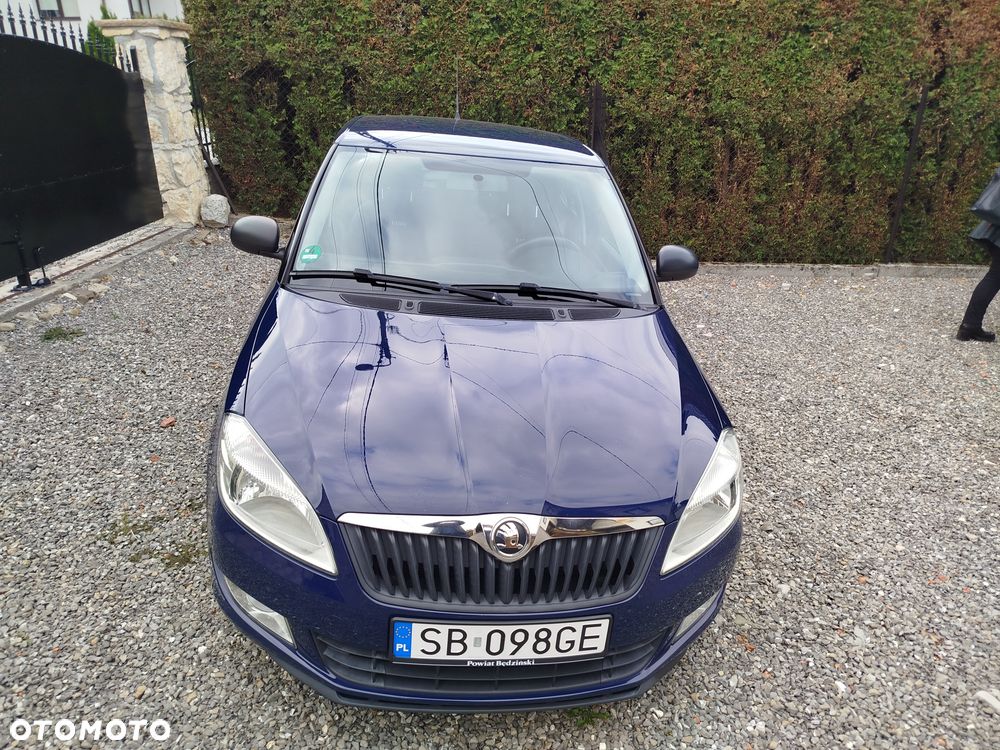 Skoda Fabia 2014 photo 5