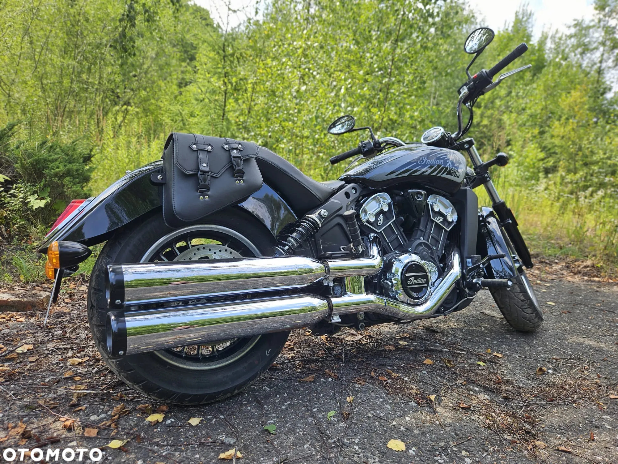 Indian Scout - 5