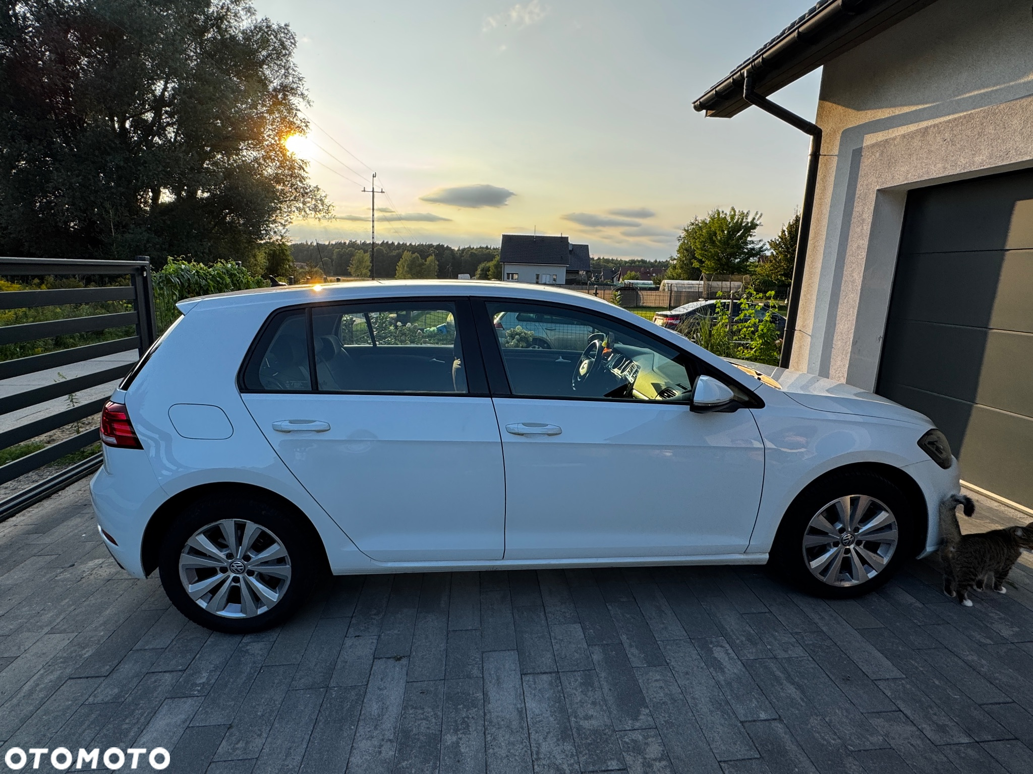 Volkswagen Golf VII 1.6 TDI BMT Comfortline - 6