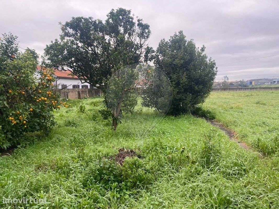 Terreno  para venda - Grande imagem: 2/4