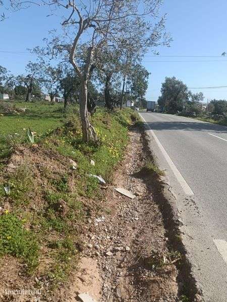 Vende-se terreno - Grande imagem: 5/8